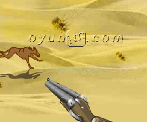 Avcı Tüfeği