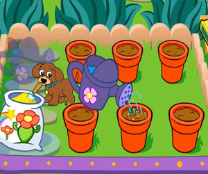 Doranın Sihirli Bahçesi