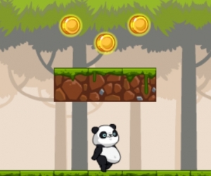 Koşan Panda