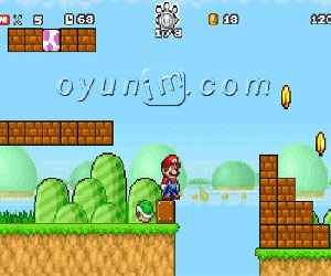 Super Mario Yıldız Peşinde 2